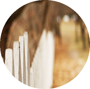 Seventeenth Sunday After Pentecost: Beyond The Picket Fence Seventeenth Sunday After Pentecost: Beyond The Picket Fence