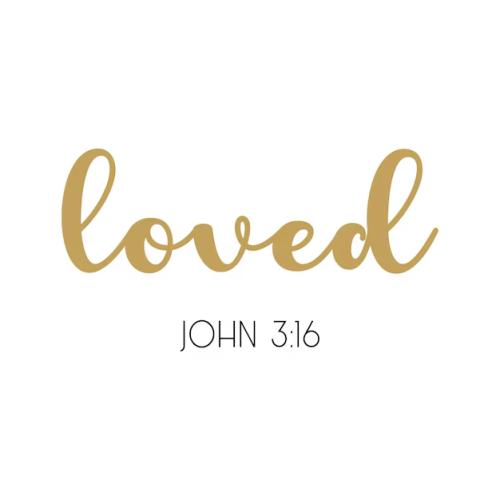 John 3:16 John 3:16