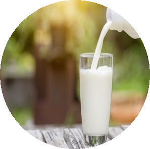 First Sunday after Easter: Milk, It Does The Soul Good First Sunday after Easter: Milk, It Does The Soul Good