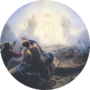 Jesus Never Pleased Himself Jesus Never Pleased Himself