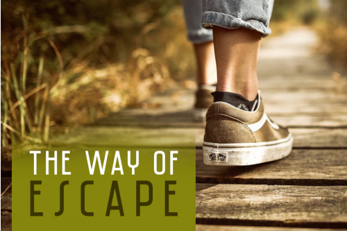 Ninth Sunday After Pentecost: A Way Of Escape Ninth Sunday After Pentecost: A Way Of Escape