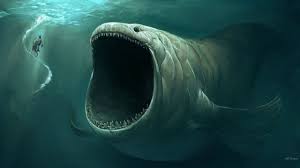 Whale